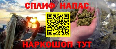 мдпв Славгород