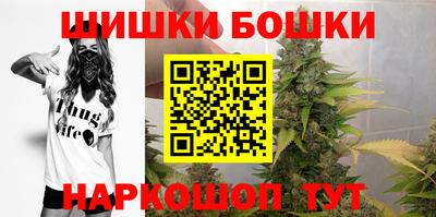 мдпв Славгород