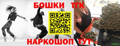 трава Сланцы