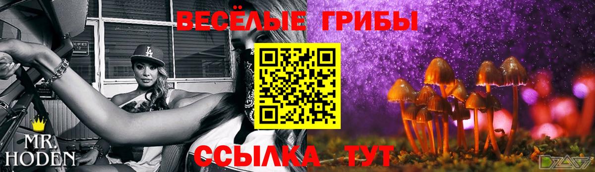 Ревда  Псилоцибиновые грибы Psilocybine cubensis  Вход с VPN 